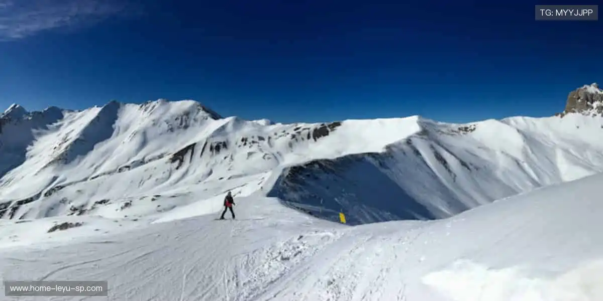 限量款来袭,手慢无!🚨🎯